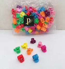 کلیپس چهل گیس رنگی (١٠٠عددی )