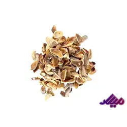 صدف کد 1170017 - گروه هنری میلاد