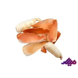 صدف کد 1170018 - گروه هنری میلاد