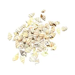 صدف کد1170014 - گروه هنری میلاد