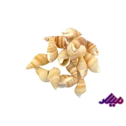 صدف کد 1170056 - گروه هنری میلاد