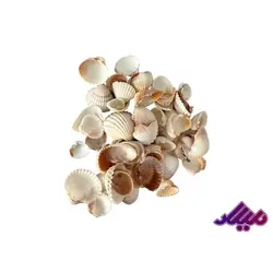 صدف کد 1170054 - گروه هنری میلاد