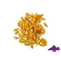 صدف کد 1170049 - گروه هنری میلاد