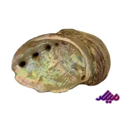 صدف کد 1170035 - گروه هنری میلاد