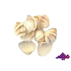 صدف کد 1170031 - گروه هنری میلاد