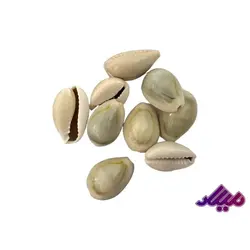 صدف کد 1170007 - گروه هنری میلاد