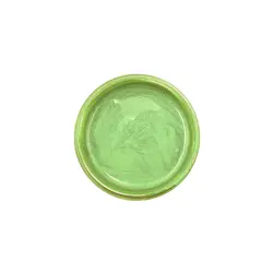 رنگ خميري رزين سيب سبز صدفي - گروه هنری میلاد