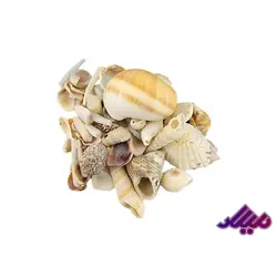 صدف کد 1170071 - گروه هنری میلاد