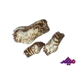 صدف کد 1170005 - گروه هنری میلاد