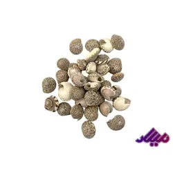 صدف کد 1170001 - گروه هنری میلاد