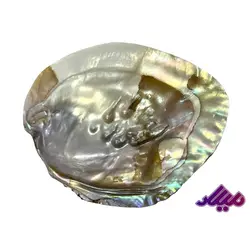 صدف مروارید ساز 1170117 - گروه هنری میلاد