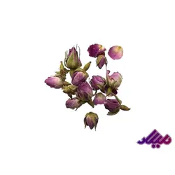 گل خشک محمدی - گروه هنری میلاد