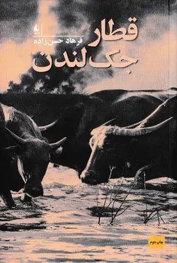 خرید کتاب قطار جک لندن - کتاب هدهد