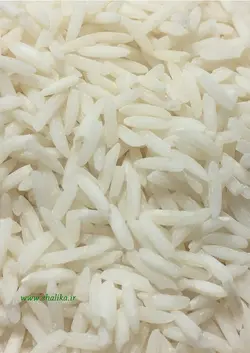 برنج شیرودی استخوانی10 کیلویی