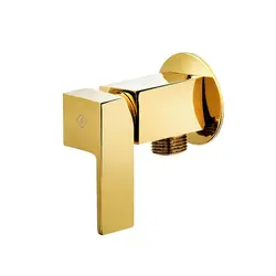 شیر قو دیواری کاویان مدل آسا (بدون علم و شلنگ)