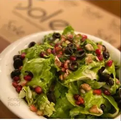 سالاد گاردن