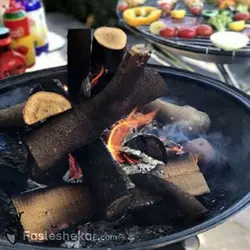 باربیکیو ذغالی مدل جامی