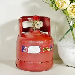 پیک نیک 2 کیلویی نپتون گاز