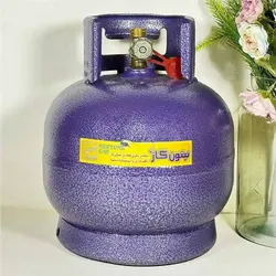 پیک نیک 2 کیلویی نپتون گاز