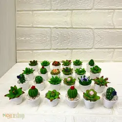 کاکتوس دکوری کوچک