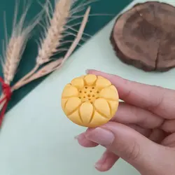 کاتر کد ۴۵۶