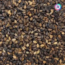 کنجد سیاه ۲۰۰ گرمی