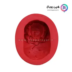 مولد نوزاد خوابیده در برگ ۹۹۷