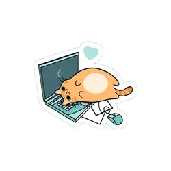 استیکر لپ تاپ کول طوری - گربه در حال کد زدن