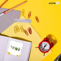 استیکر لپ تاپ کول طوری - کاکتوس‌های خاردار