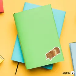 استیکر لپ تاپ کول طوری - نون فانتزی گربه‌ای