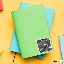 استیکر لپ تاپ ریچارد فاینمن - استاد در حال تدریس