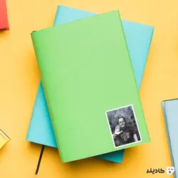 استیکر لپ تاپ ریچارد فاینمن - نابغه مکانیک کوانتوم
