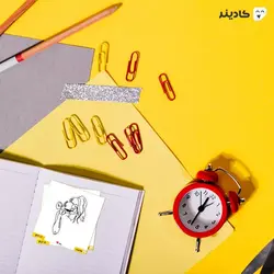 استیکر لپ تاپ لاین ارت - زن