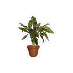 استیکر لپ تاپ گلدون