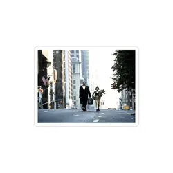 استیکر لپ تاپ لئون حرفه ای