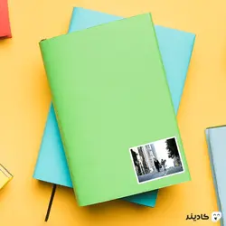 استیکر لپ تاپ لئون حرفه ای