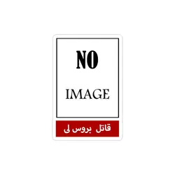 استیکر لپ تاپ قاتل بروسلی کیه؟