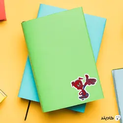 استیکر لپ تاپ پیتر پارکر