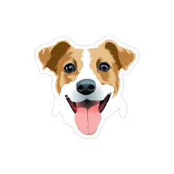 استیکر لپتاپ لاکی هاپو