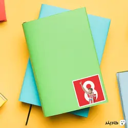 استیکر لپ تاپ سائول نیگلز