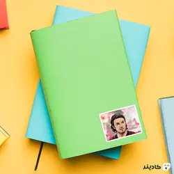 استیکر لپ تاپ پرتره مالدینی