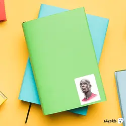 استیکر لپ تاپ پرتره پل پوگبا