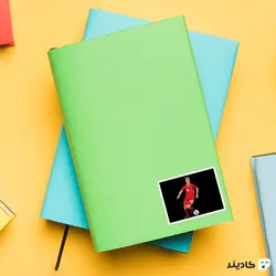 استیکر لپ تاپ جاشو کیمیچ