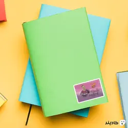 استیکر لپ تاپ فرانکی دی یانگ