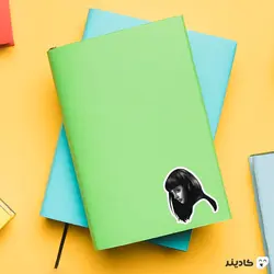 استیکر برکینگ بد - جین