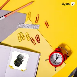 استیکر لپ تاپ رینبو سیکس: سیج - پوستر فانتزی اپراتور بندیت