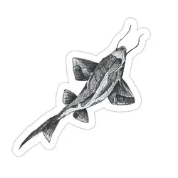 استیکر لپ‌تاپ گربه ماهی
