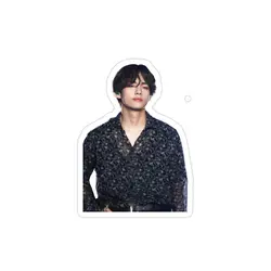استیکر لپ تاپ گروه BTS - پوستر عضو گروه