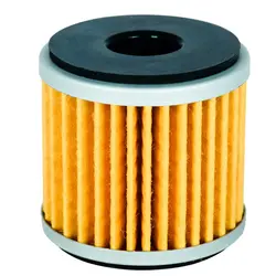 فیلتر روغن موتور سیکلت بنلی 250 تک سیلندر