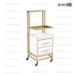 ترولی فیشیال 2041 صنعت نواز